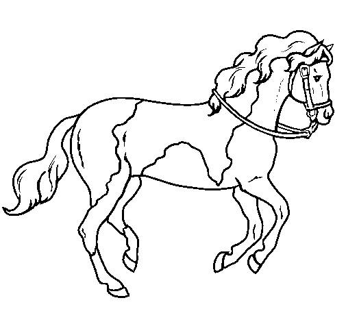 Dibuix de Cavall 5 per Pintar on-line
