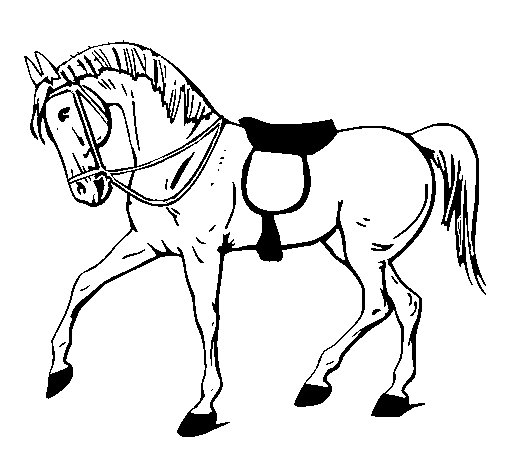 Dibuix de Cavall de competició  per Pintar on-line