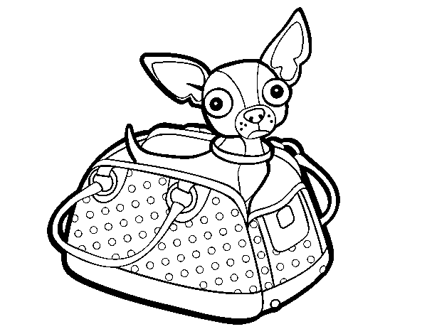 Dibuix de Chihuahua de viatge per Pintar on-line