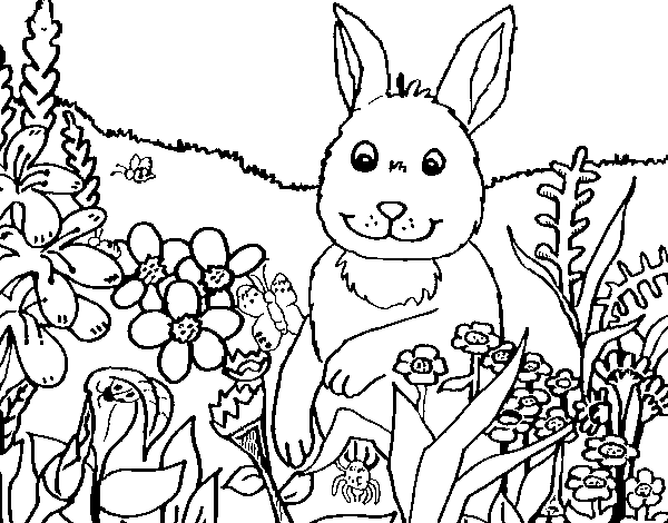 Dibuix de Conill en el camp per Pintar on-line