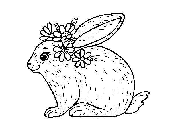 Dibuix de Conill primaveral per Pintar on-line