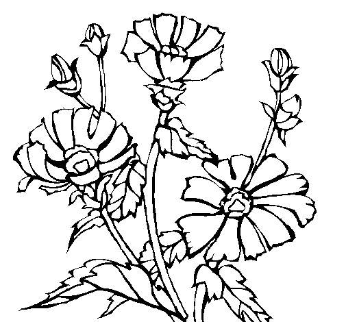 Dibuix de Conjunt floral per Pintar on-line