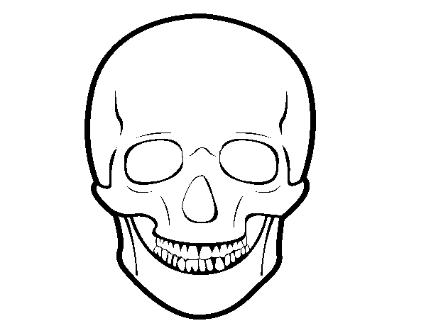Dibuix de Crani humà per Pintar on-line