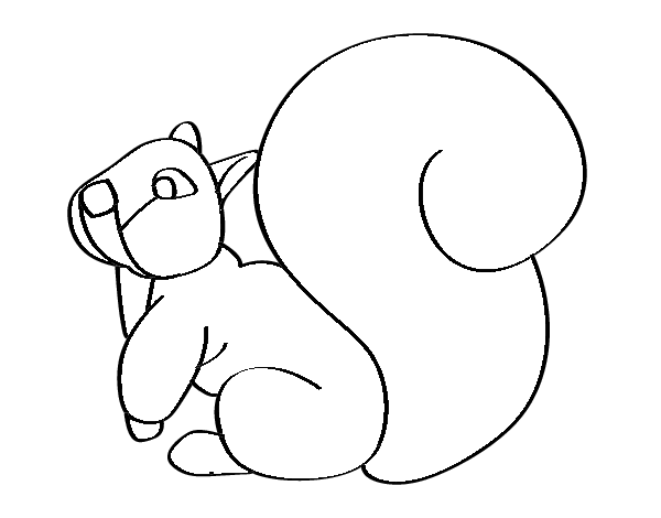 Dibuix de Esquirol amb una gran cua per Pintar on-line