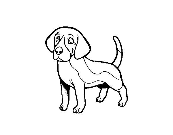 Dibuix de Gos Beagle per Pintar on-line