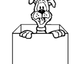 Dibuix de Gos dins d'una caixa per pintar