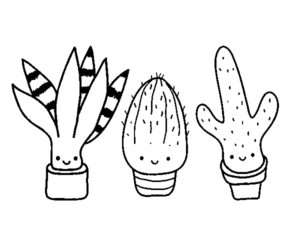 Dibuix de Mini cactus per Pintar on-line