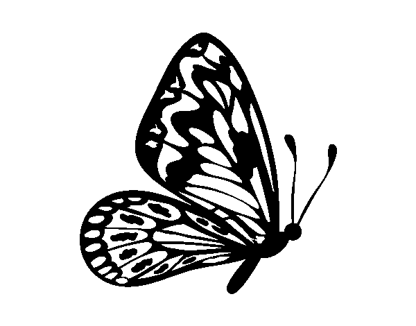 Dibuix de Papallona ales normals per Pintar on-line