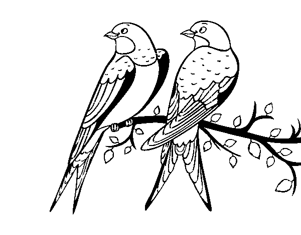 Dibuix de Parella d'ocells per Pintar on-line