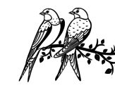 Dibujo de Parella d'ocells