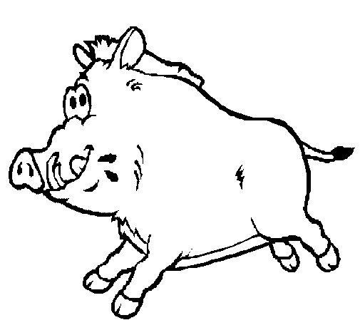 Dibuix de Porc senglar per Pintar on-line