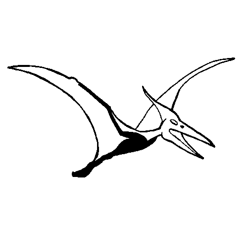 Dibuix de Pterodàctil per Pintar on-line