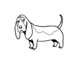 Dibuix de Un Basset hound per pintar