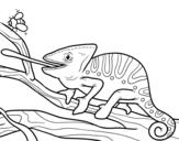 Dibuix de Un camaleó amb la llengua fora per pintar