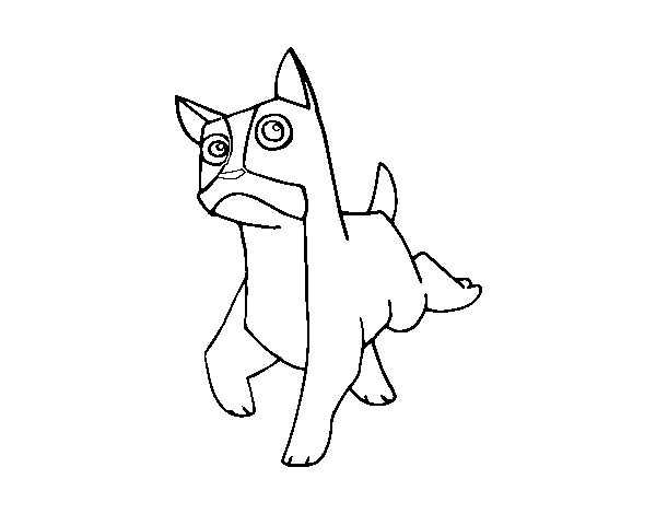 Dibuix de Un gos bòxer per Pintar on-line