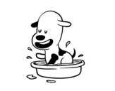 Dibujo de Un gosset a la banyera