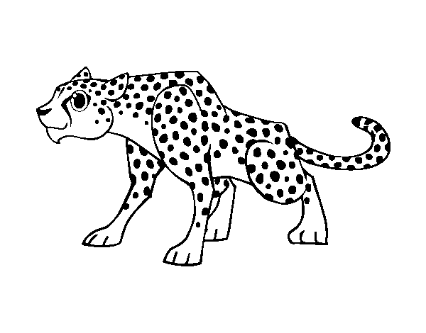 Dibuix de Un guepard per Pintar on-line