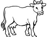 Dibuix de Vaca 3 per pintar