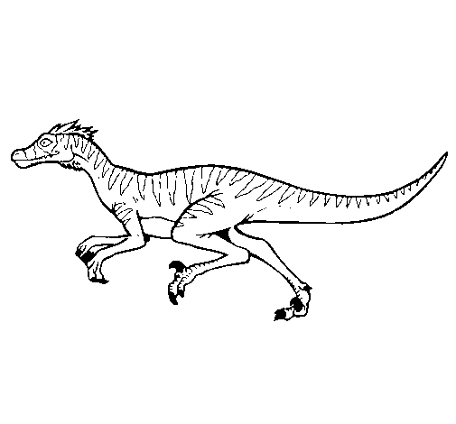 Dibuix de Velociraptor  per Pintar on-line