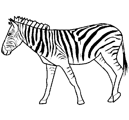 Dibuix de Zebra per Pintar on-line
