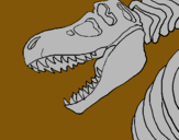 Dibuix Esquelet tiranosauri rex pintat per Angela