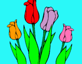 Dibuix Tulipes pintat per claw