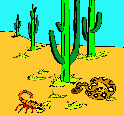 Desert 