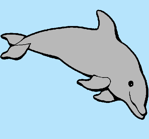 Dofí content