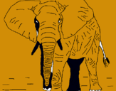 Dibuix Elefant pintat per hhlkhkhjkhjkhkyh
