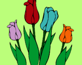 Dibuix Tulipes pintat per andreitaXD
