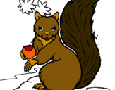 Dibuix Esquirol pintat per ESQUIROL