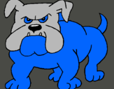 Dibuix Gos bulldog pintat per Jordi
