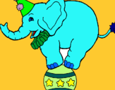 Dibuix Elefant sobre una pilota pintat per NÚRIA DALMAU