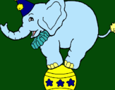 Dibuix Elefant sobre una pilota pintat per ariel