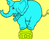 Dibuix Elefant sobre una pilota pintat per LIAM