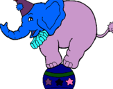 Dibuix Elefant sobre una pilota pintat per SARAY