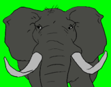 Dibuix Elefant africà pintat per Joel