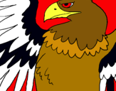 Dibuix Àguila Imperial Romana pintat per tope bruno