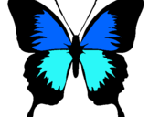Dibuix Papallona amb ales negres  pintat per kimberly j. sosa silva
