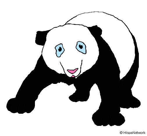 Ós panda