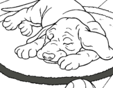 Dibuix Gos dormint pintat per gos dormint