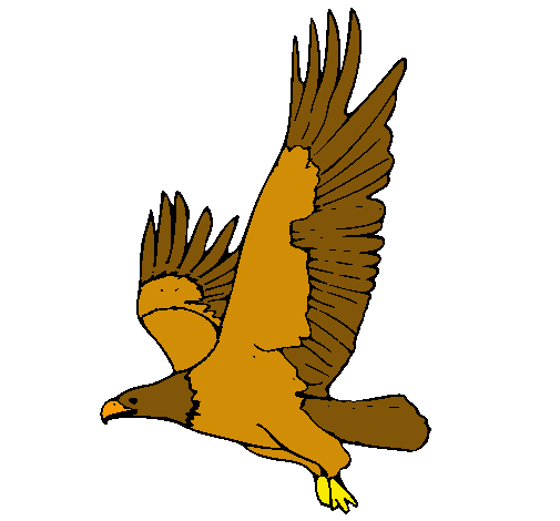 Àguila volant 