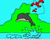 Dibuix Dofí i gavina pintat per FRANCINA