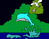 Dibuix Dofí i gavina pintat per joel