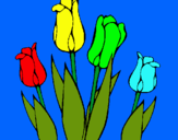 Dibuix Tulipes pintat per joan
