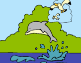 Dibuix Dofí i gavina pintat per 9 ona