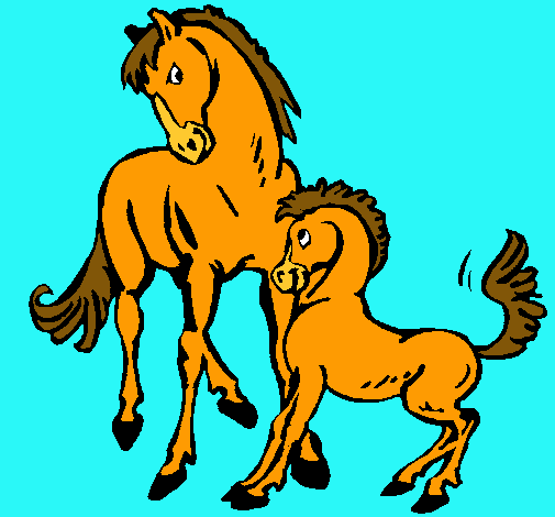 Cavalls 
