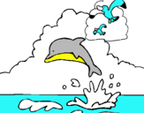 Dibuix Dofí i gavina pintat per arnau
