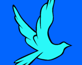 Dibuix Colom de la pau al vol  pintat per AriadnaNavarro