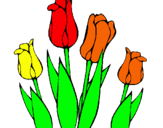 Dibuix Tulipes pintat per bncs cvbx cxnegbewvfds<gc